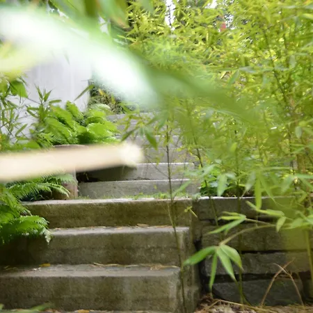 Hotel Ringhotel Alpenhof - Patchworkhotel