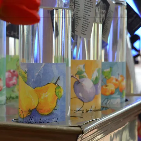 Ringhotel Alpenhof - Patchworkhotel Hotel