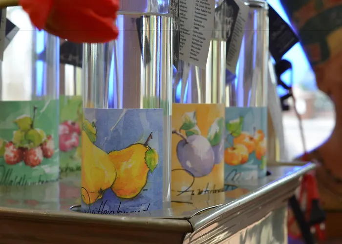 Ringhotel Alpenhof - Patchworkhotel Hotell