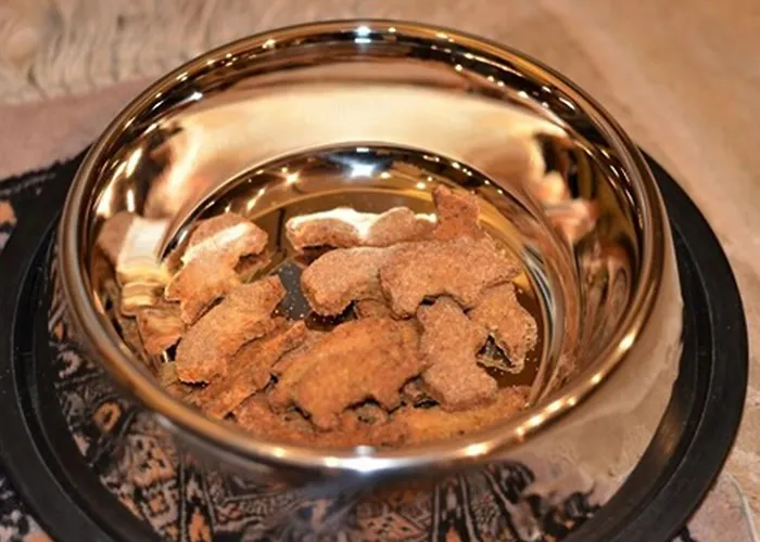 Ringhotel Alpenhof - Patchworkhotel Hotell